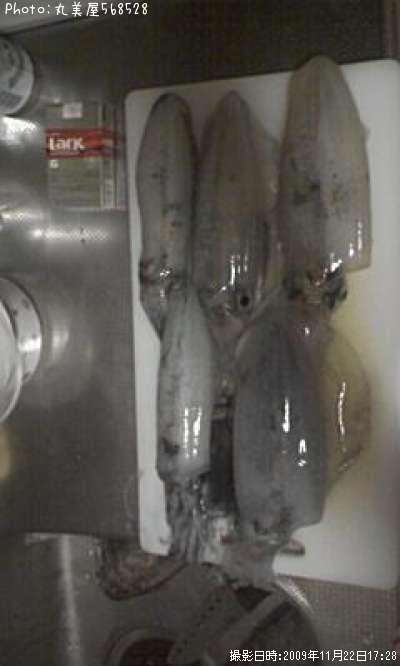 �����ꥤ��