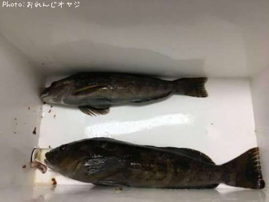 �����ʥ�