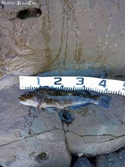 �����ʥ�