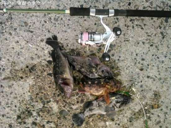 ������������