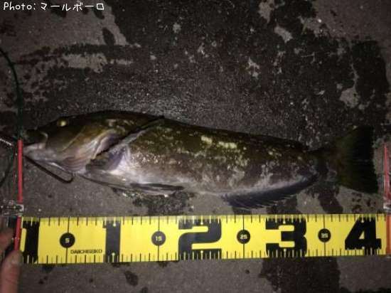 �����ʥ�