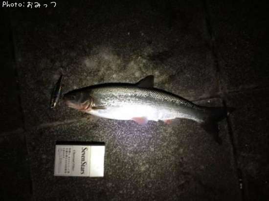 �ޥ륿������