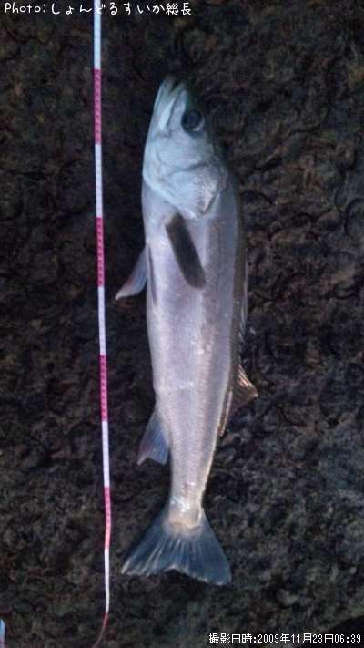 �����Х�