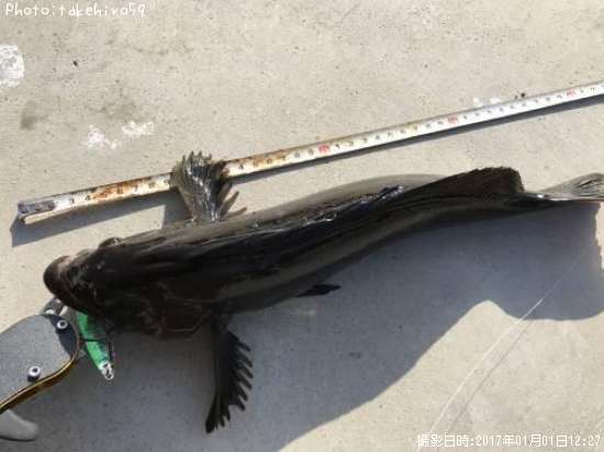 �����ʥ�