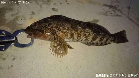 �����ʥ�