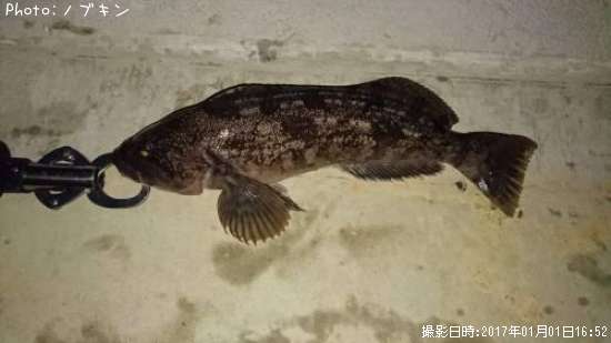 �����ʥ�