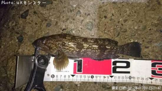 �����ʥ�