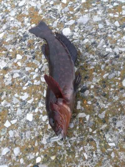 �����ʥ�