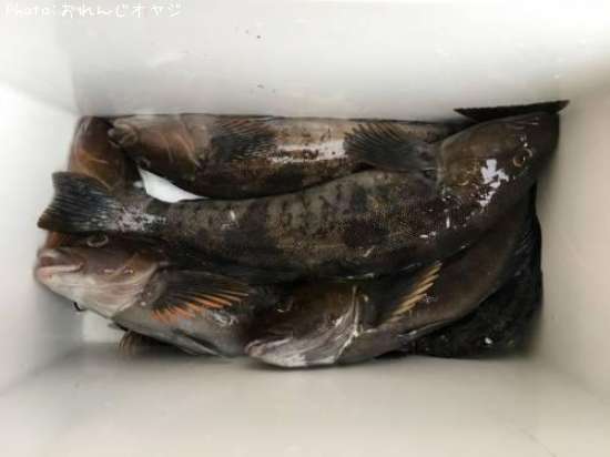 �����ʥ�