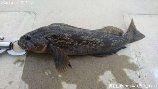 �����ʥ�