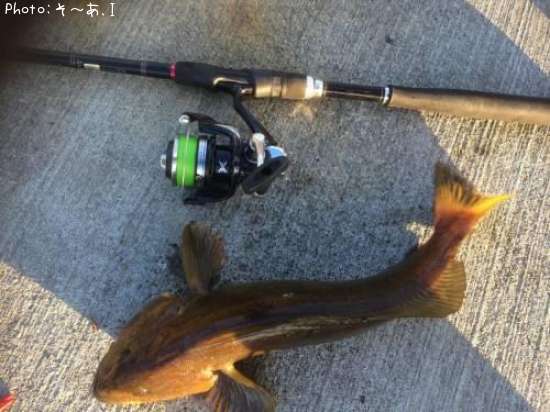 �����ʥ�