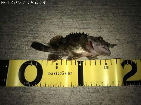 �����Υ���Х�