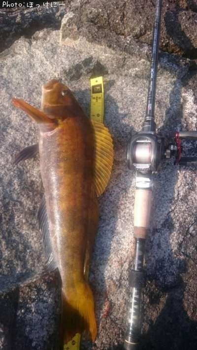 �����ʥ�