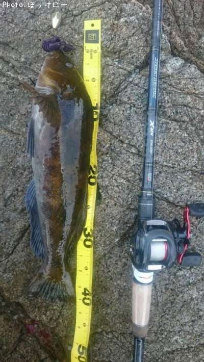 �����ʥ�