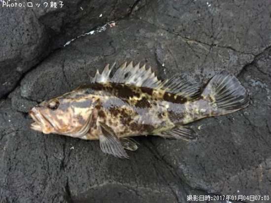 �����Υ���Х�