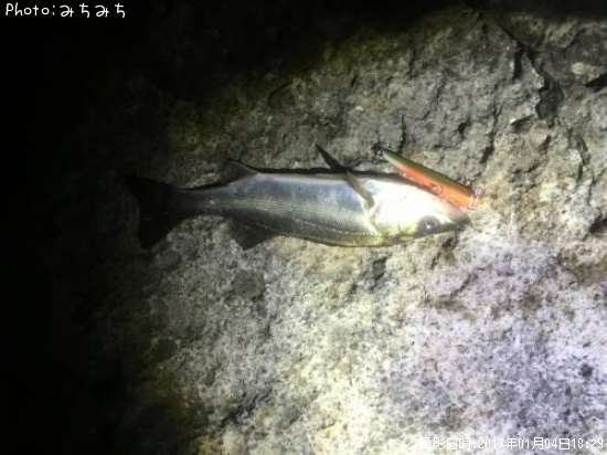 �����Х�