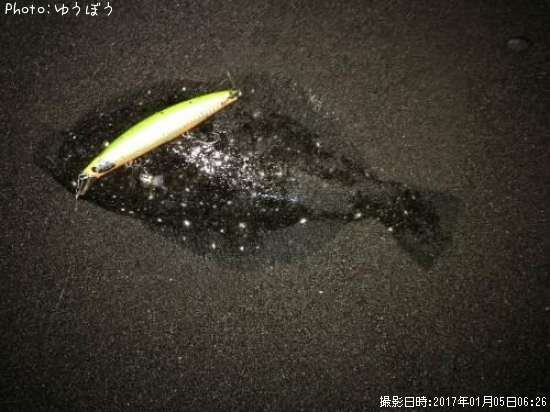 �ҥ��ʥ�����