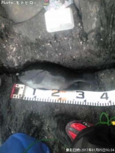 �����᥸��