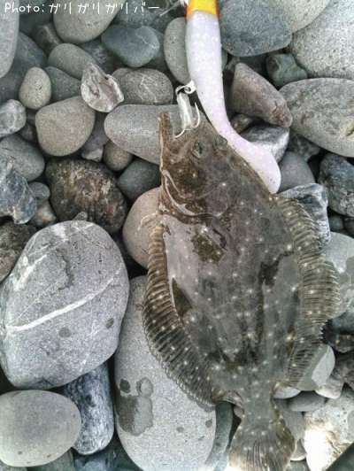 �ҥ�ᡡ�ڥ�����