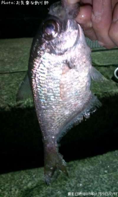 �ߥʥߥϥ����