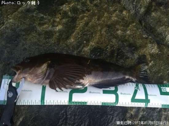 �����ʥ�