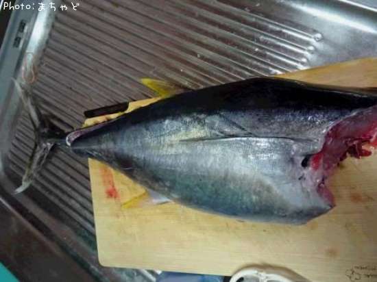 �ߡ����ӡڥ�Х��ޥ�����