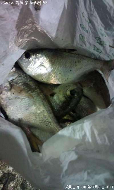 �ߥʥߥϥ����