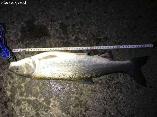 �ޥ륿������