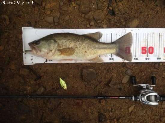 �֥�å��Х�