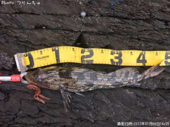 �����ʥ�