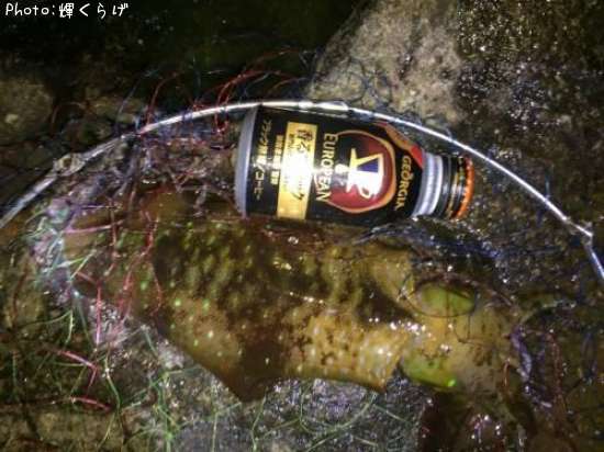 �����ꥤ��