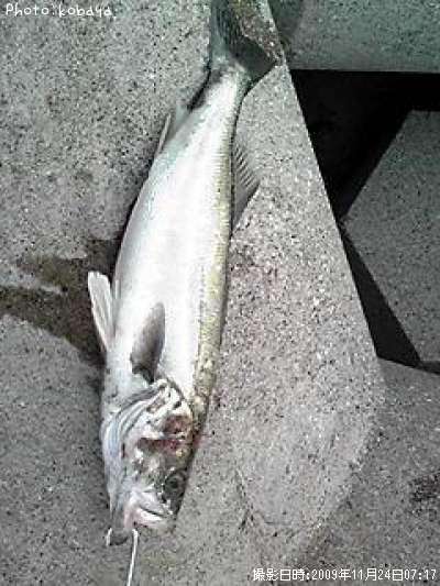 �����Х�