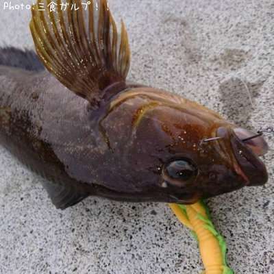 �����ʥ�