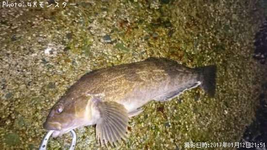 �����ʥ�