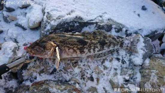 �����ʥ�