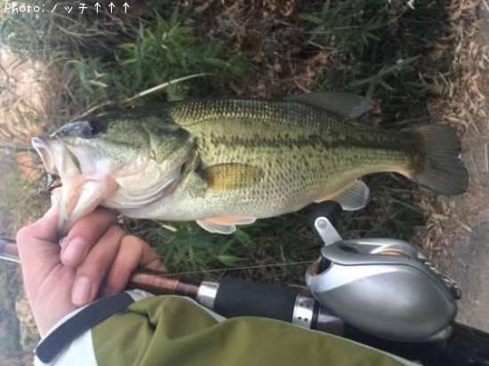 �֥�å��Х�