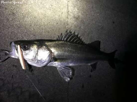 �����Х�