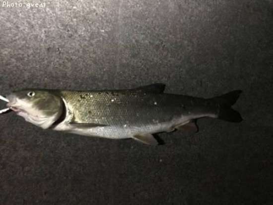 �ޥ륿������