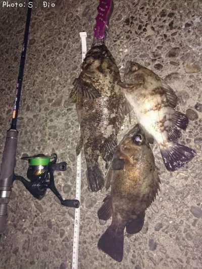 ��饽������Х�