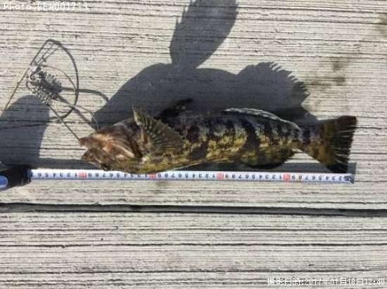 �����ʥ�