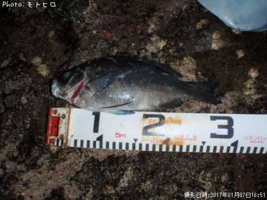 �����᥸��