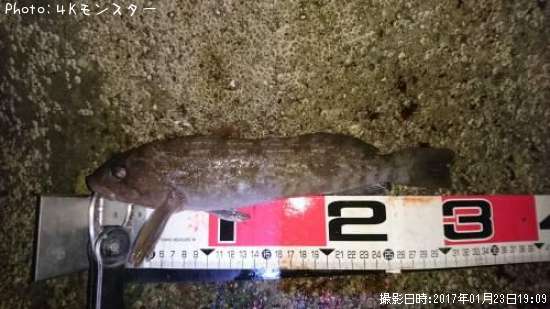 �����ʥ�