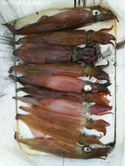 ��ꥤ�������󥵥�����