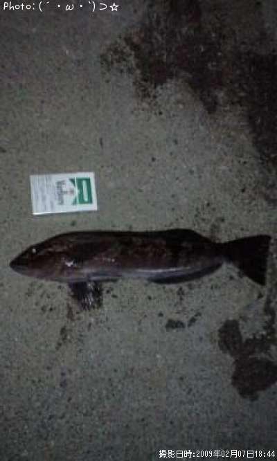 �����ʥ�