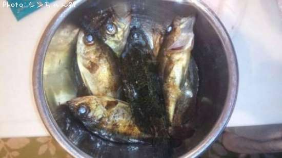 ������Х�