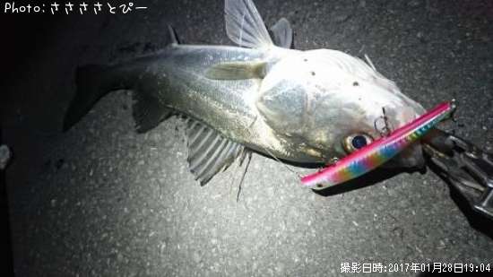 �����Х�