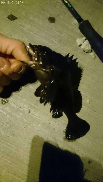 ������������