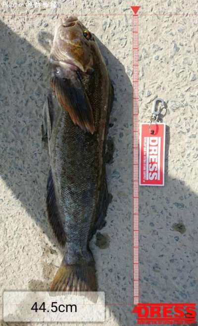 �����ʥ�