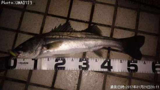 �����Х�