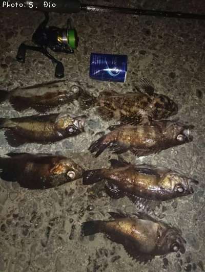 ��Х롢��饽��